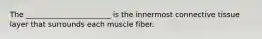 The _______________________ is the innermost connective tissue layer that surrounds each muscle fiber.