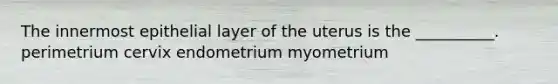 The innermost epithelial layer of the uterus is the __________. perimetrium cervix endometrium myometrium