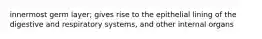 innermost germ layer; gives rise to the epithelial lining of the digestive and respiratory systems, and other internal organs