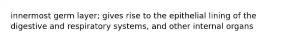 innermost germ layer; gives rise to the epithelial lining of the digestive and respiratory systems, and other internal organs