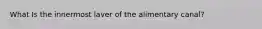 What Is the innermost laver of the alimentary canal?