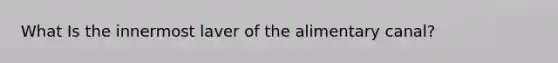 What Is the innermost laver of the alimentary canal?