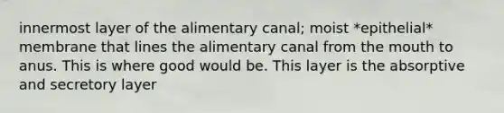 innermost layer of the alimentary canal; moist *epithelial* membrane that lines the alimentary canal from <a href='https://www.questionai.com/knowledge/krBoWYDU6j-the-mouth' class='anchor-knowledge'>the mouth</a> to anus. This is where good would be. This layer is the absorptive and secretory layer