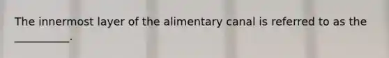 The innermost layer of the alimentary canal is referred to as the __________.