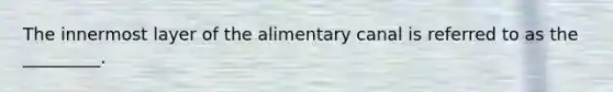 The innermost layer of the alimentary canal is referred to as the _________.