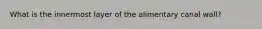 What is the innermost layer of the alimentary canal wall?