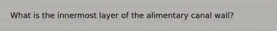 What is the innermost layer of the alimentary canal wall?