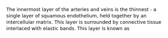 The innermost layer of the arteries and veins is the thinnest - a single layer of squamous endothelium, held together by an intercellular matrix. This layer is surrounded by connective tissue interlaced with elastic bands. This layer is known as