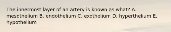 The innermost layer of an artery is known as what? A. mesothelium B. endothelium C. exothelium D. hyperthelium E. hypothelium