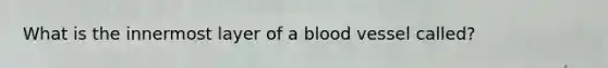 What is the innermost layer of a blood vessel called?