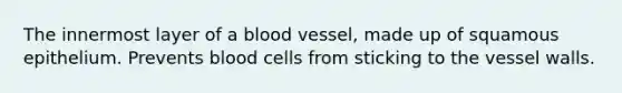 The innermost layer of a blood vessel, made up of squamous epithelium. Prevents blood cells from sticking to the vessel walls.