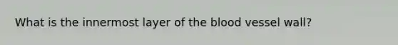 What is the innermost layer of the blood vessel wall?