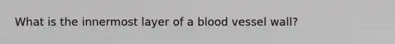 What is the innermost layer of a blood vessel wall?