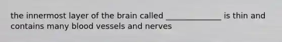 the innermost layer of the brain called ______________ is thin and contains many blood vessels and nerves