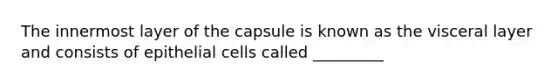 The innermost layer of the capsule is known as the visceral layer and consists of epithelial cells called _________