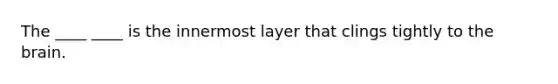 The ____ ____ is the innermost layer that clings tightly to <a href='https://www.questionai.com/knowledge/kLMtJeqKp6-the-brain' class='anchor-knowledge'>the brain</a>.