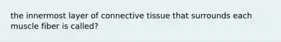 the innermost layer of connective tissue that surrounds each muscle fiber is called?