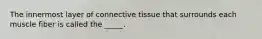 The innermost layer of connective tissue that surrounds each muscle fiber is called the _____.