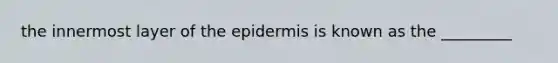 the innermost layer of the epidermis is known as the _________