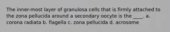 The inner-most layer of granulosa cells that is firmly attached to the zona pellucida around a secondary oocyte is the ____. a. corona radiata b. flagella c. zona pellucida d. acrosome