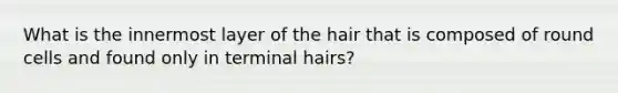 What is the innermost layer of the hair that is composed of round cells and found only in terminal hairs?