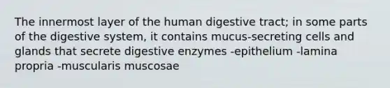 The innermost layer of the human digestive tract; in some parts of the digestive system, it contains mucus-secreting cells and glands that secrete digestive enzymes -epithelium -lamina propria -muscularis muscosae