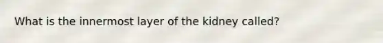 What is the innermost layer of the kidney called?