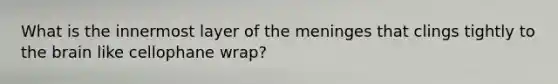 What is the innermost layer of the meninges that clings tightly to the brain like cellophane wrap?