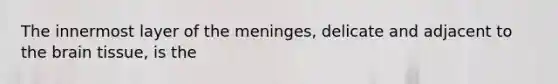 The innermost layer of the meninges, delicate and adjacent to the brain tissue, is the