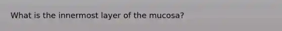 What is the innermost layer of the mucosa?