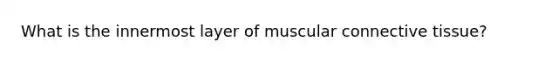 What is the innermost layer of muscular connective tissue?