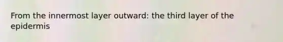 From the innermost layer outward: the third layer of <a href='https://www.questionai.com/knowledge/kBFgQMpq6s-the-epidermis' class='anchor-knowledge'>the epidermis</a>