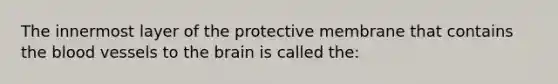 The innermost layer of the protective membrane that contains the blood vessels to the brain is called the: