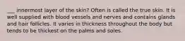 ___ innermost layer of the skin? Often is called the true skin. It is well supplied with blood vessels and nerves and contains glands and hair follicles. It varies in thickness throughout the body but tends to be thickest on the palms and soles.