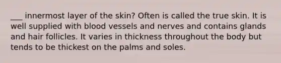 ___ innermost layer of the skin? Often is called the true skin. It is well supplied with blood vessels and nerves and contains glands and hair follicles. It varies in thickness throughout the body but tends to be thickest on the palms and soles.