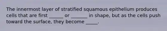 The innermost layer of stratified squamous epithelium produces cells that are first ______ or _______ in shape, but as the cells push toward the surface, they become _____.