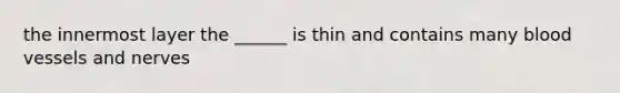 the innermost layer the ______ is thin and contains many <a href='https://www.questionai.com/knowledge/kZJ3mNKN7P-blood-vessels' class='anchor-knowledge'>blood vessels</a> and nerves