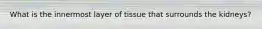 What is the innermost layer of tissue that surrounds the kidneys?