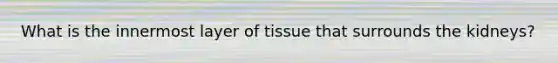 What is the innermost layer of tissue that surrounds the kidneys?