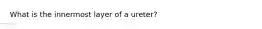 What is the innermost layer of a ureter?