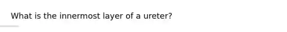 What is the innermost layer of a ureter?