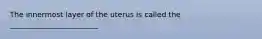 The innermost layer of the uterus is called the ________________________