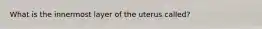 What is the innermost layer of the uterus called?