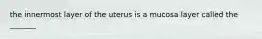 the innermost layer of the uterus is a mucosa layer called the _______