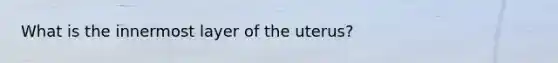 What is the innermost layer of the uterus?