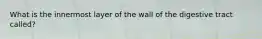 What is the innermost layer of the wall of the digestive tract called?