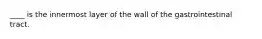 ____ is the innermost layer of the wall of the gastrointestinal tract.