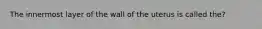 The innermost layer of the wall of the uterus is called the?