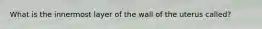What is the innermost layer of the wall of the uterus called?