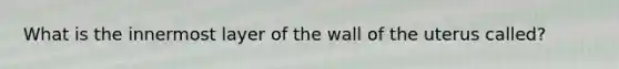 What is the innermost layer of the wall of the uterus called?
